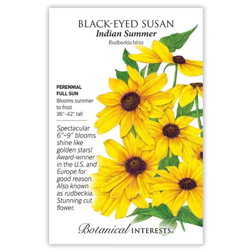 Black-eyed Susan Indian Summer Seed Pkt