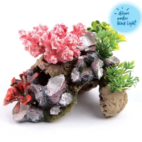 Coral With Rock & Plants