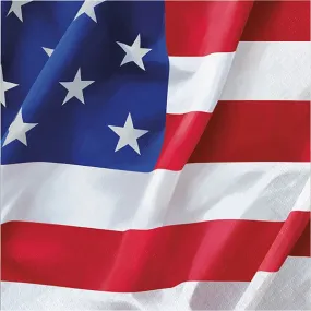 Flying Flag Luncheon Napkins 16ct